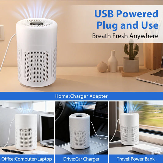 Portable Negative Ion Purifier