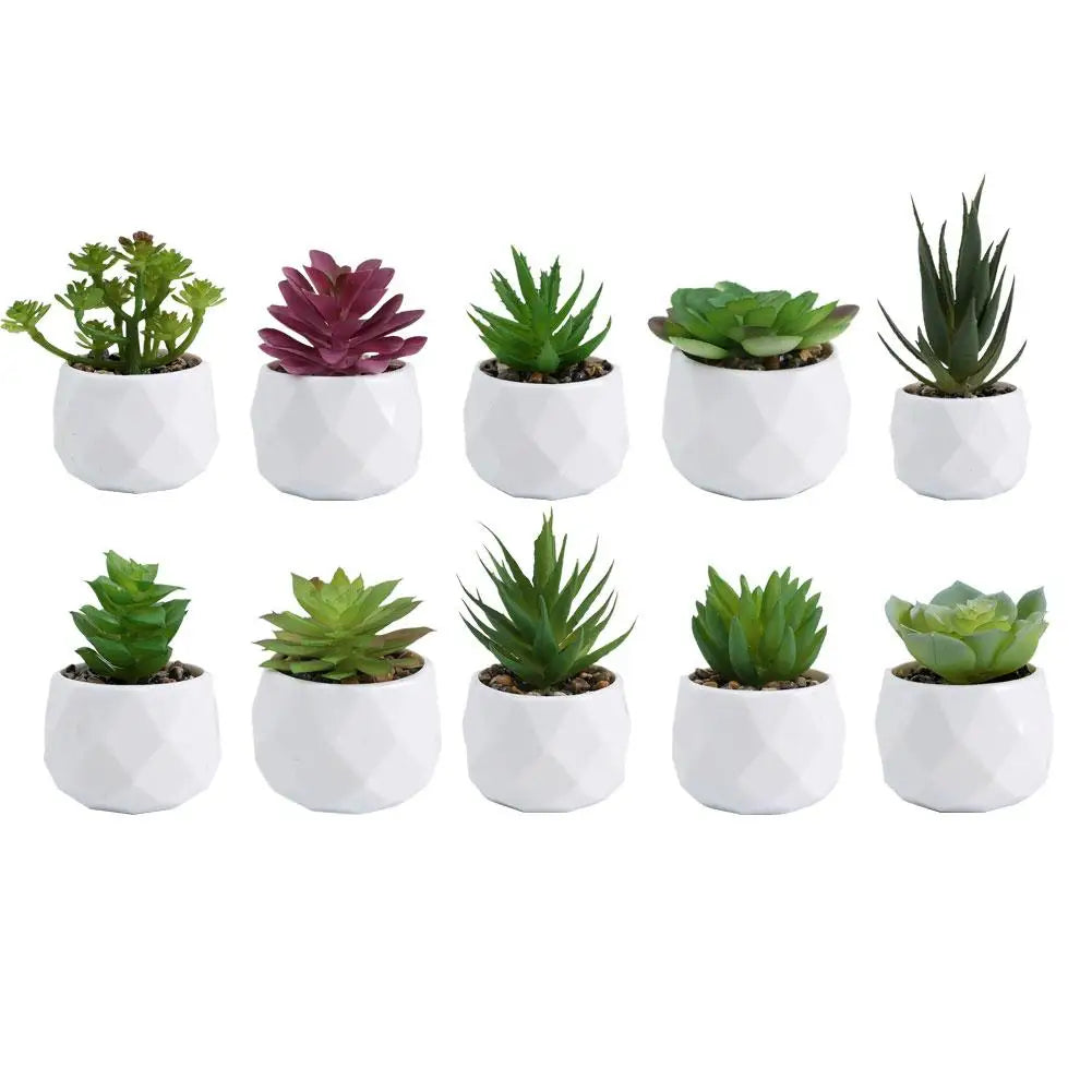 Mini Evergreen Bonsai Decor