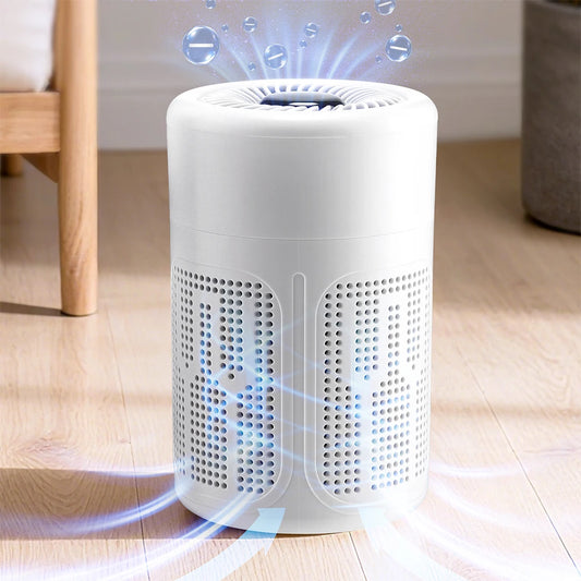 Portable Negative Ion Purifier