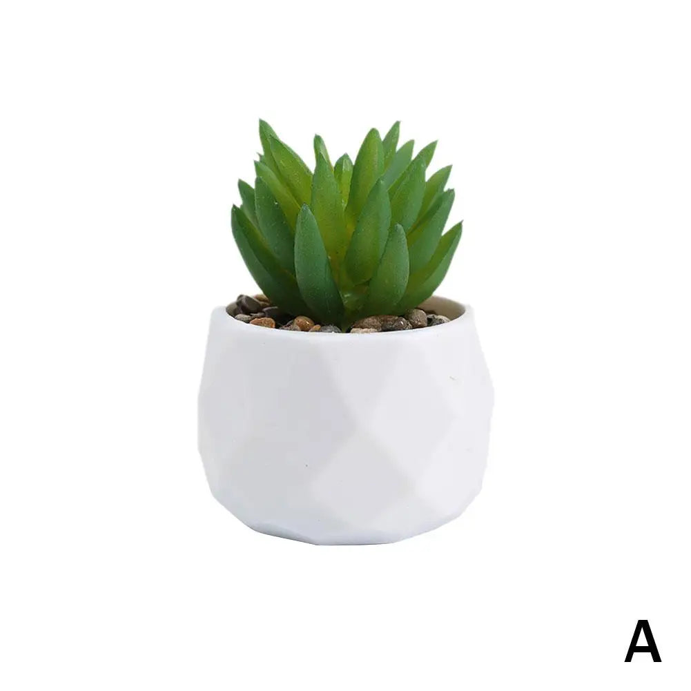 Mini Evergreen Bonsai Decor
