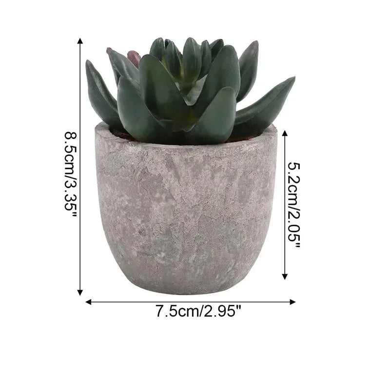 Mini Aloe Potted Plant