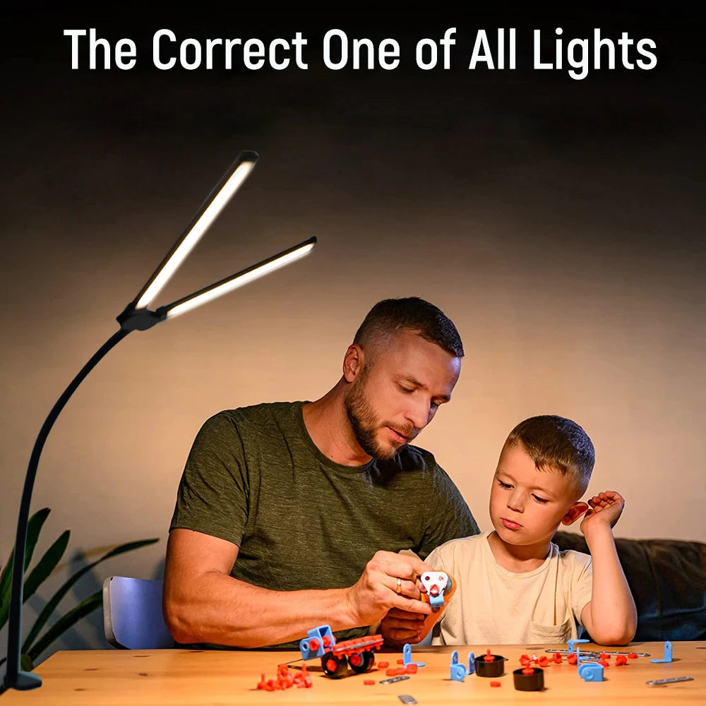 Double Head Eye-Caring Lamp