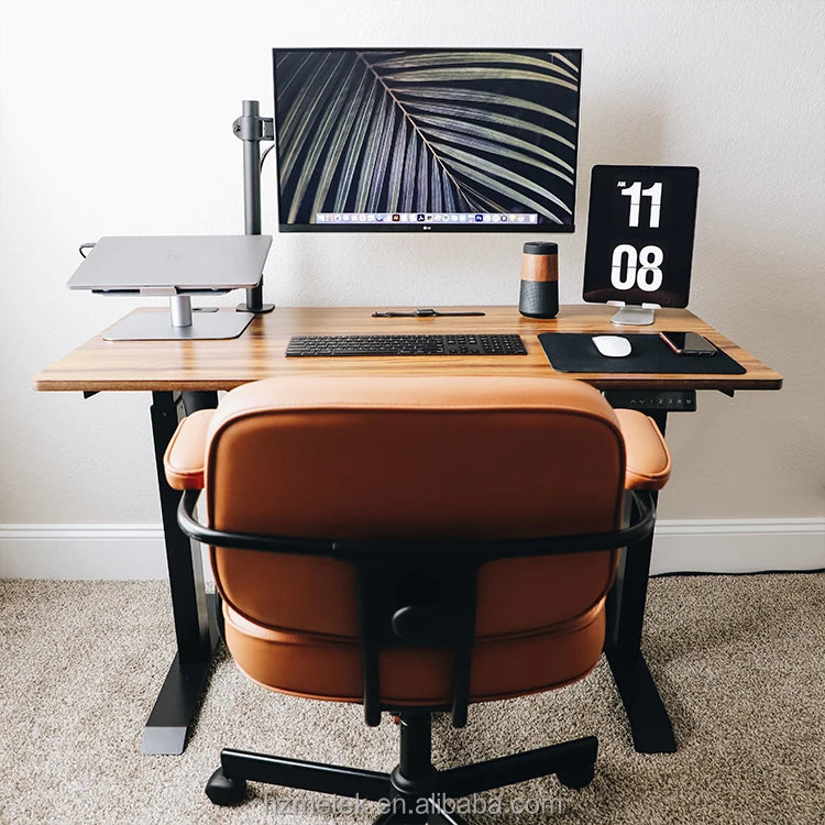 Electric Standing Lift Desk
