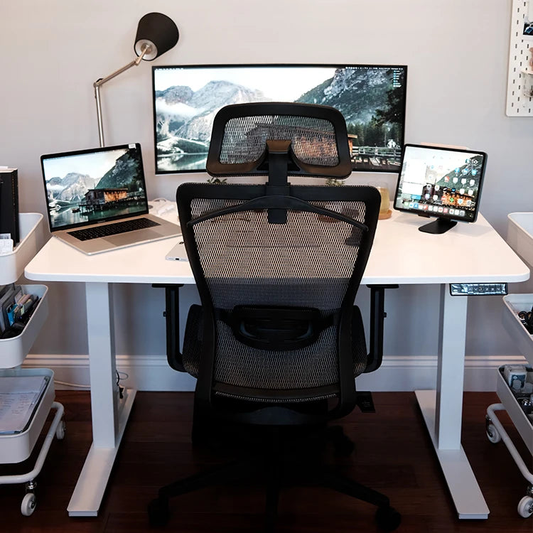 Electric Standing Lift Desk