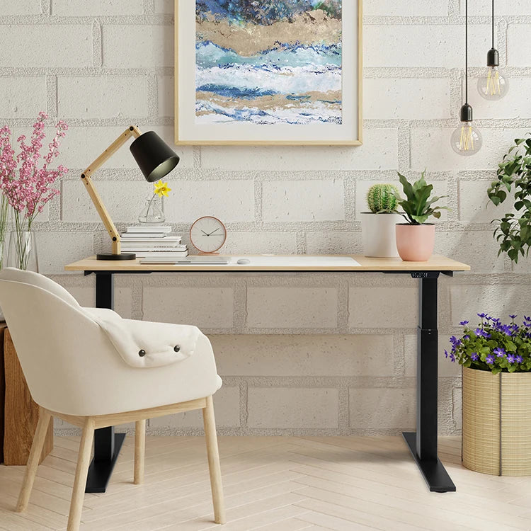 Electric Standing Lift Desk