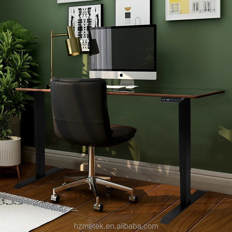 Electric Standing Lift Desk