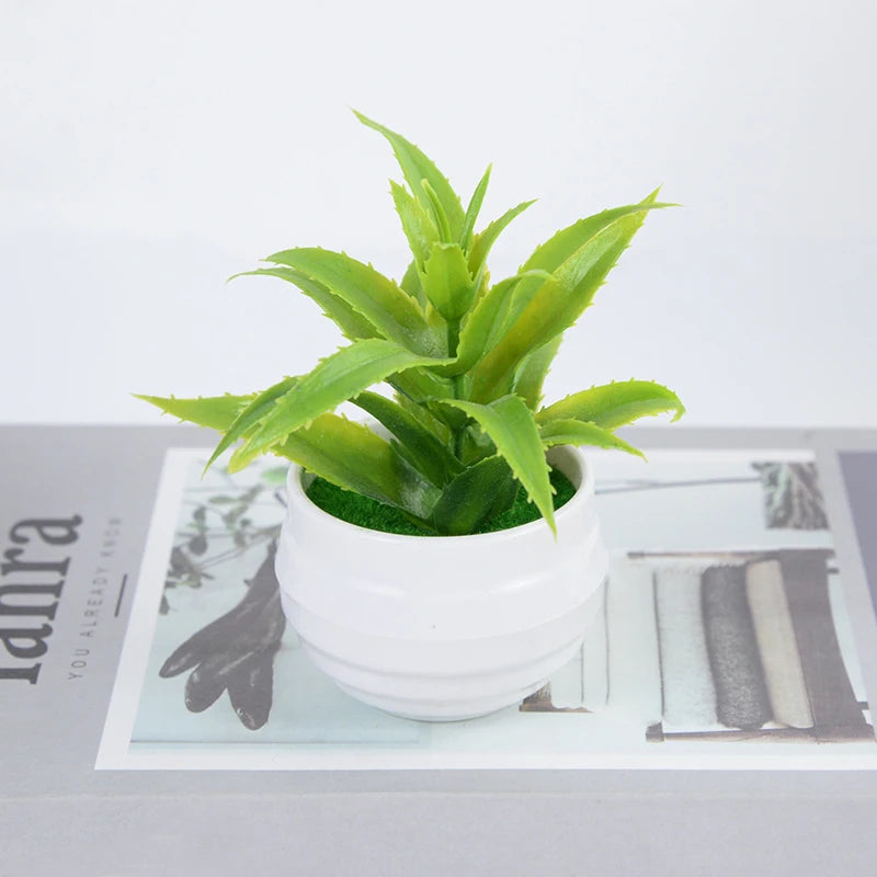 Mini Bonsai Potted Decor