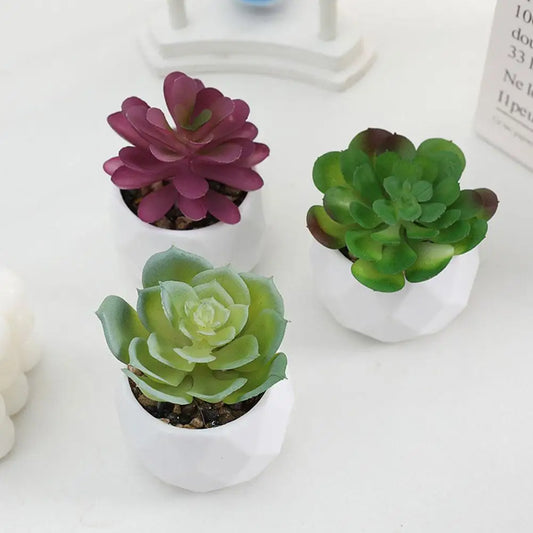 Mini Evergreen Bonsai Decor