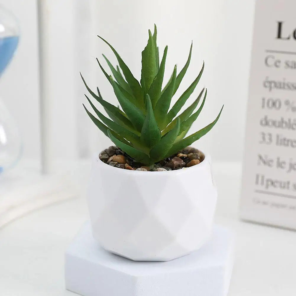 Mini Evergreen Bonsai Decor
