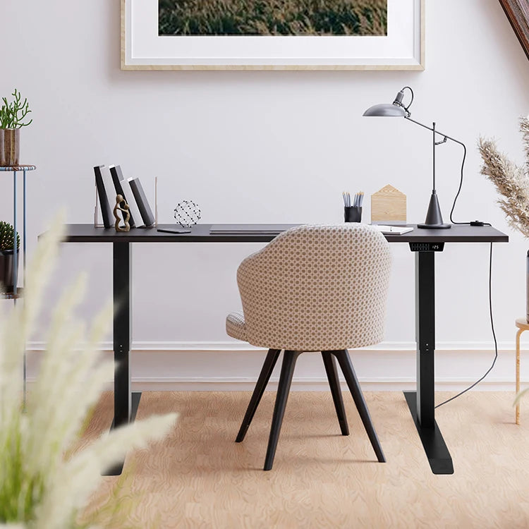 Electric Standing Lift Desk