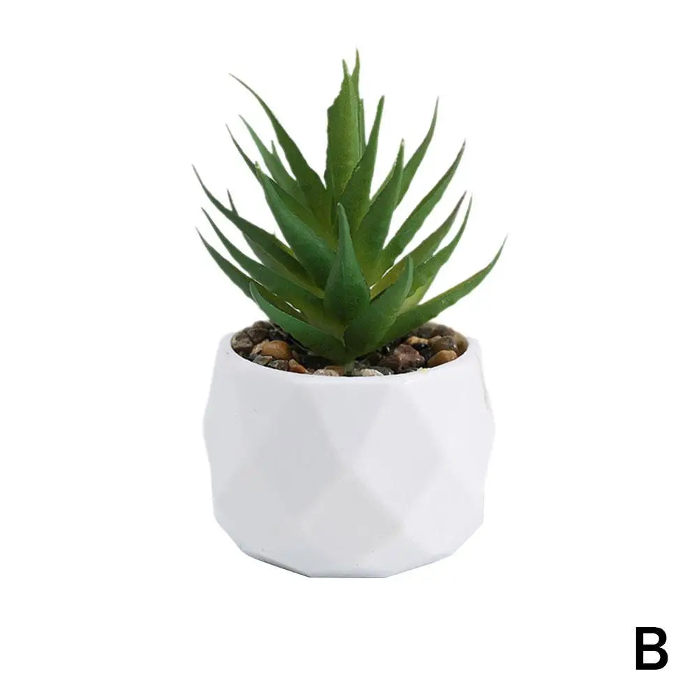 Mini Evergreen Bonsai Decor