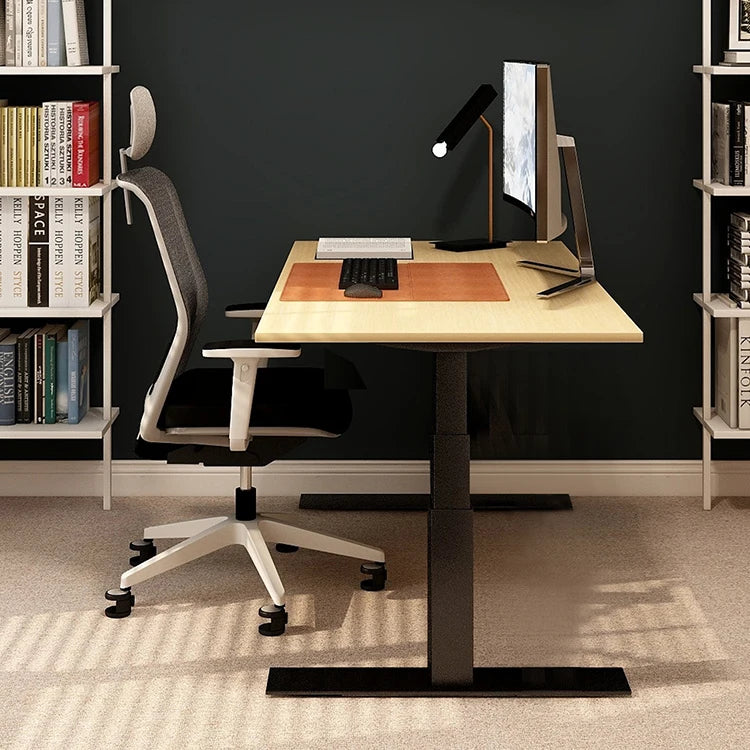 Electric Standing Lift Desk