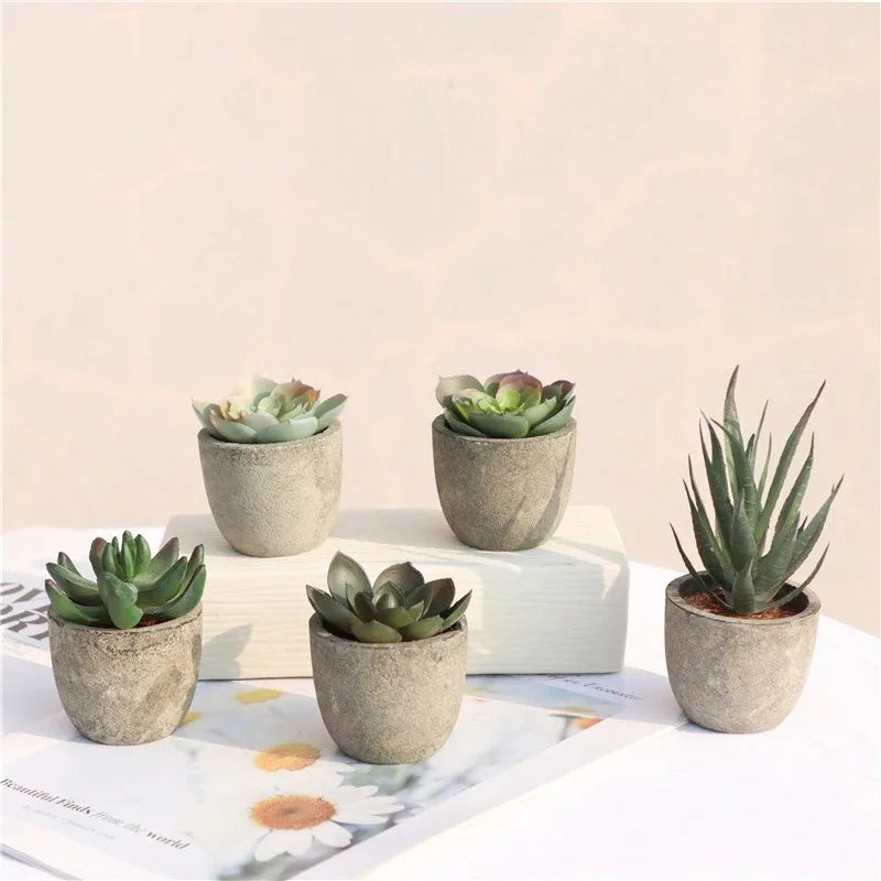 Mini Aloe Potted Plant