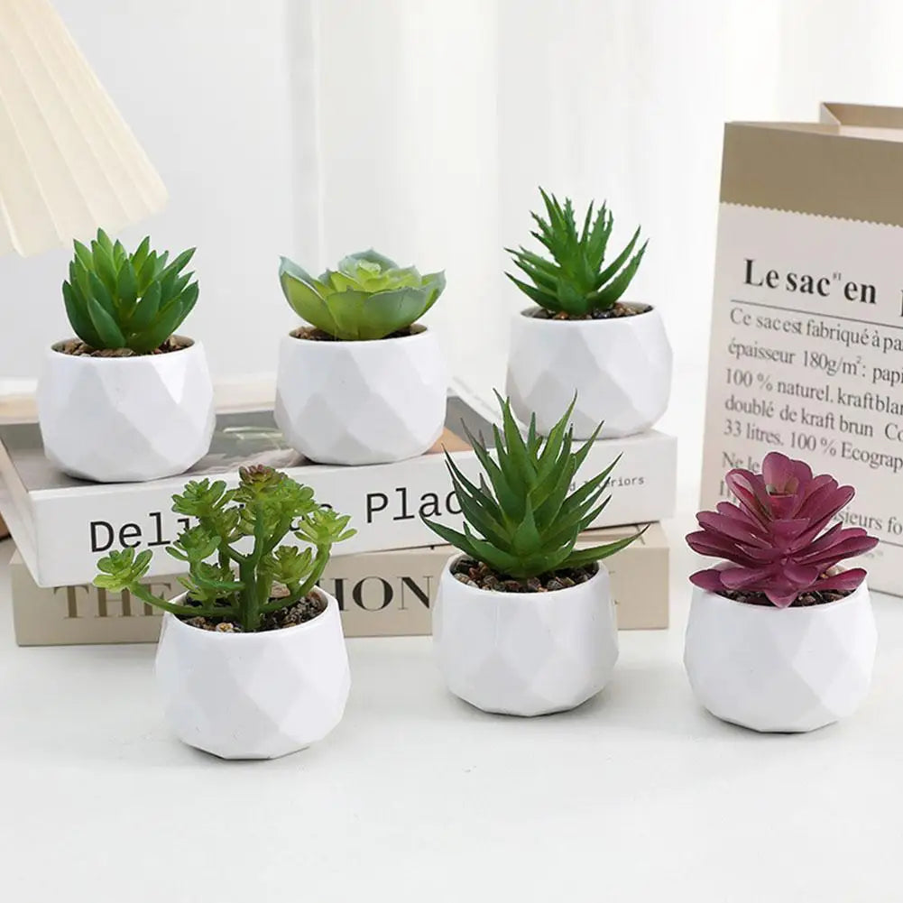Mini Evergreen Bonsai Decor