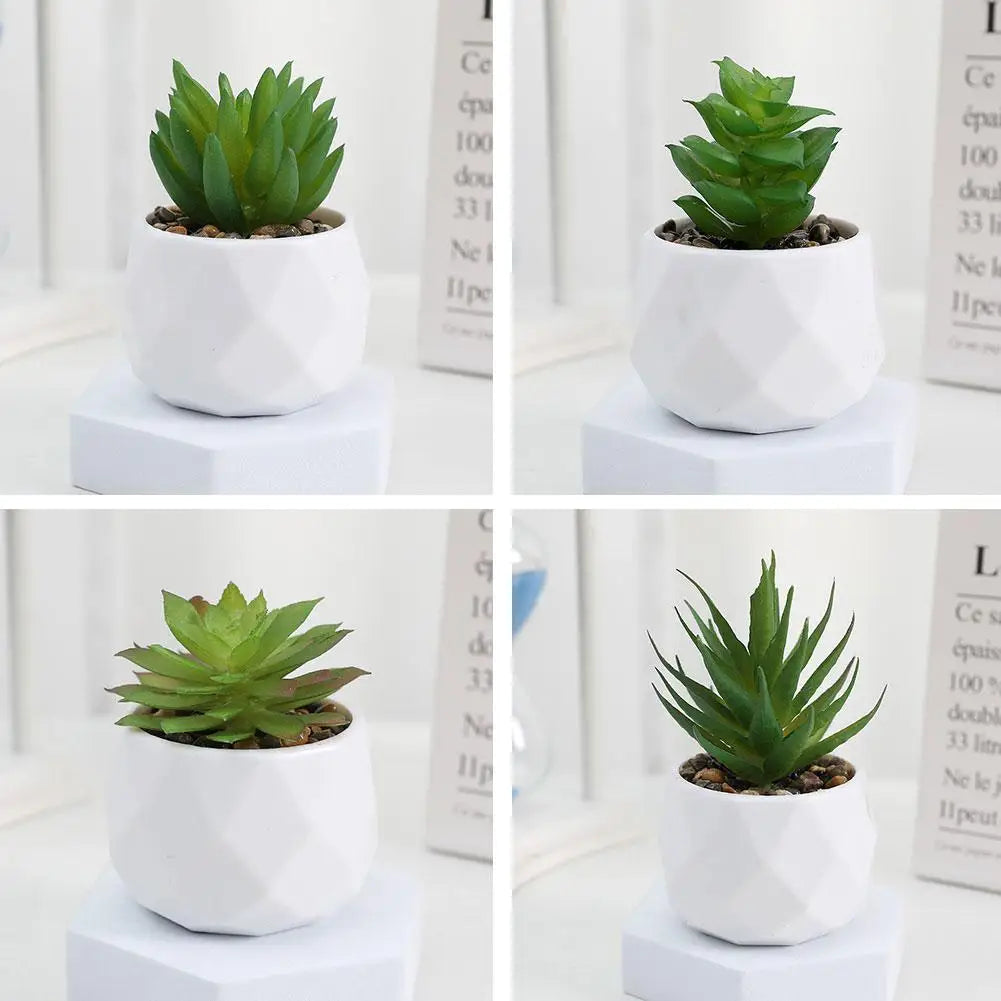 Mini Evergreen Bonsai Decor