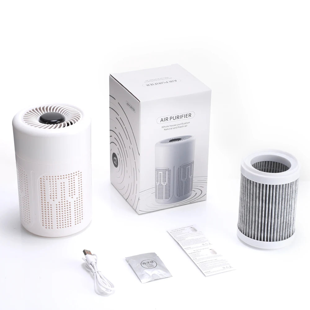 Portable Negative Ion Purifier