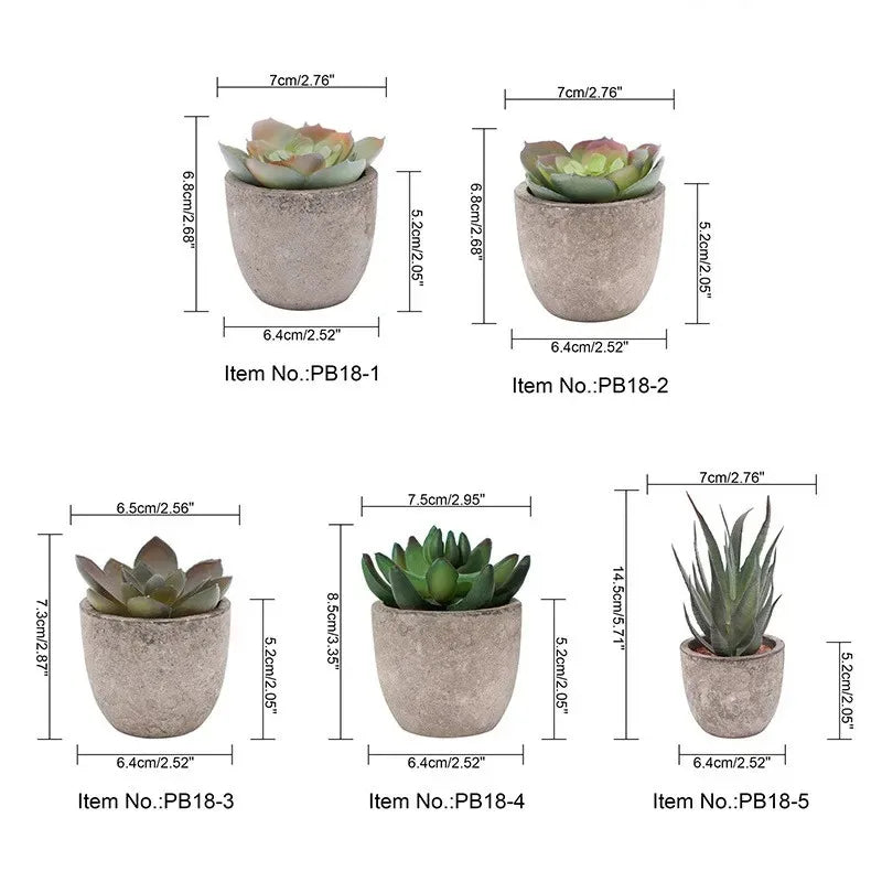Mini Aloe Potted Plant