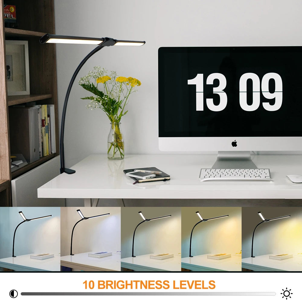 Double Head Eye-Caring Lamp