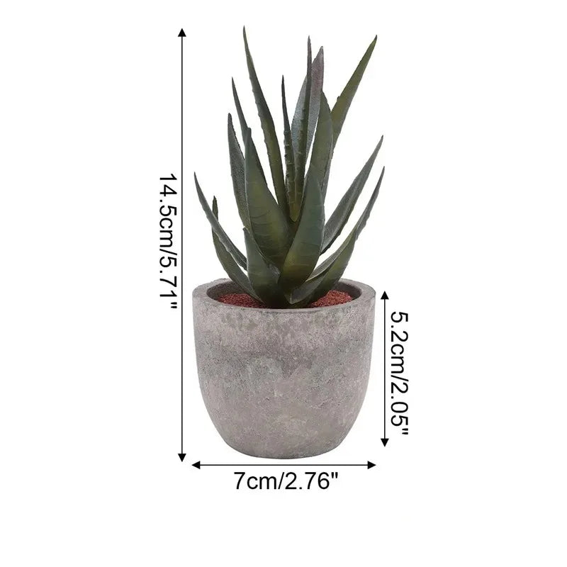 Mini Aloe Potted Plant
