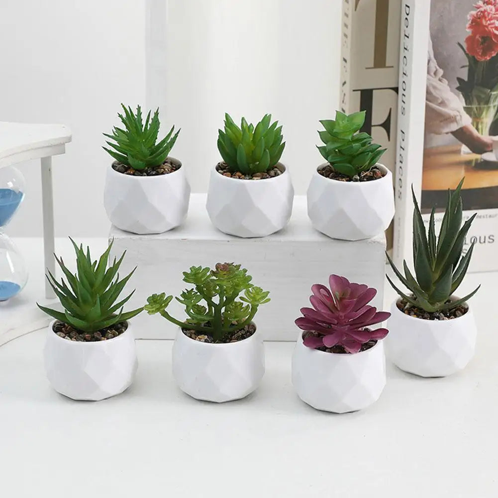 Mini Evergreen Bonsai Decor