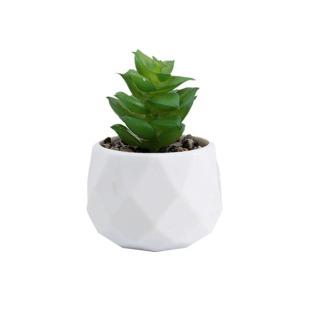 Mini Evergreen Bonsai Decor