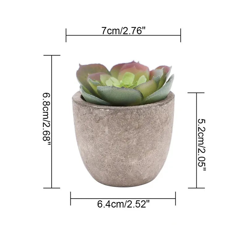 Mini Aloe Potted Plant