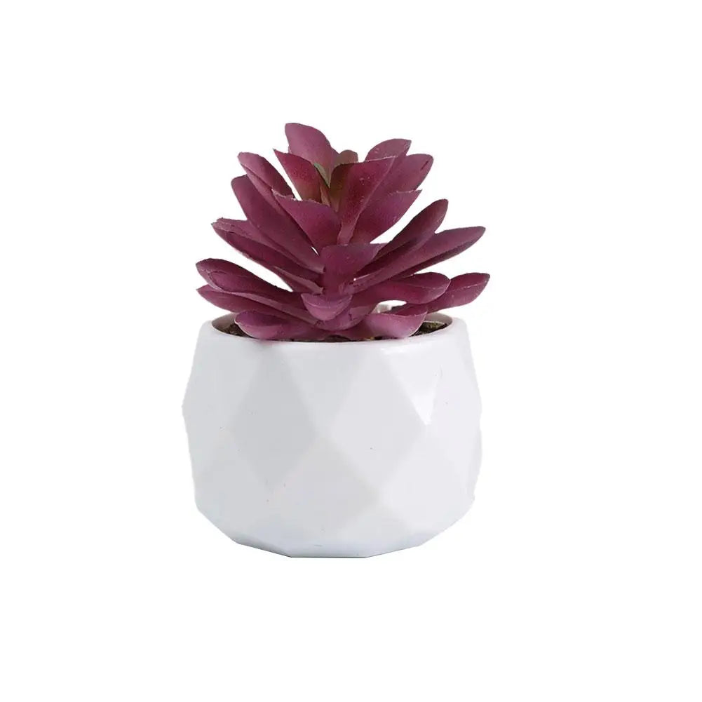 Mini Evergreen Bonsai Decor