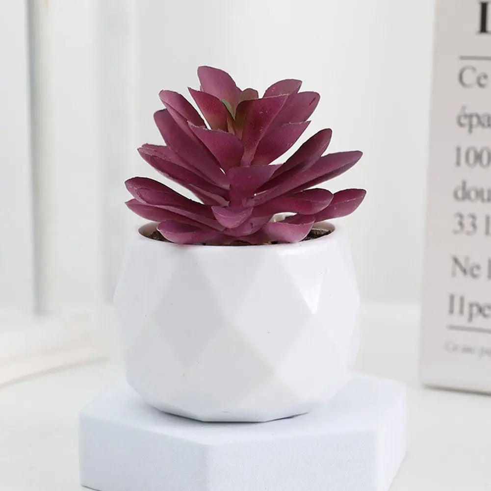 Mini Evergreen Bonsai Decor
