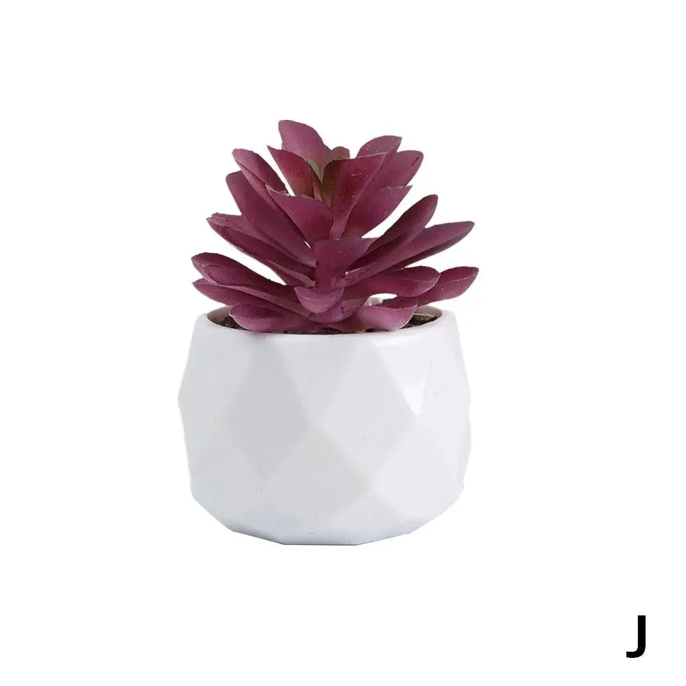 Mini Evergreen Bonsai Decor