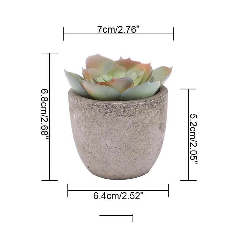 Mini Aloe Potted Plant