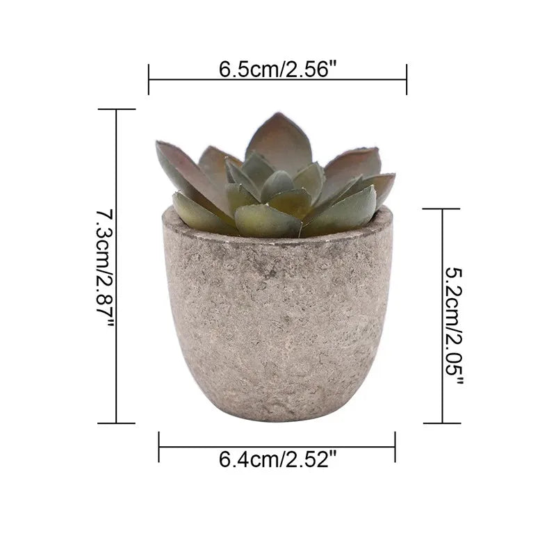 Mini Aloe Potted Plant