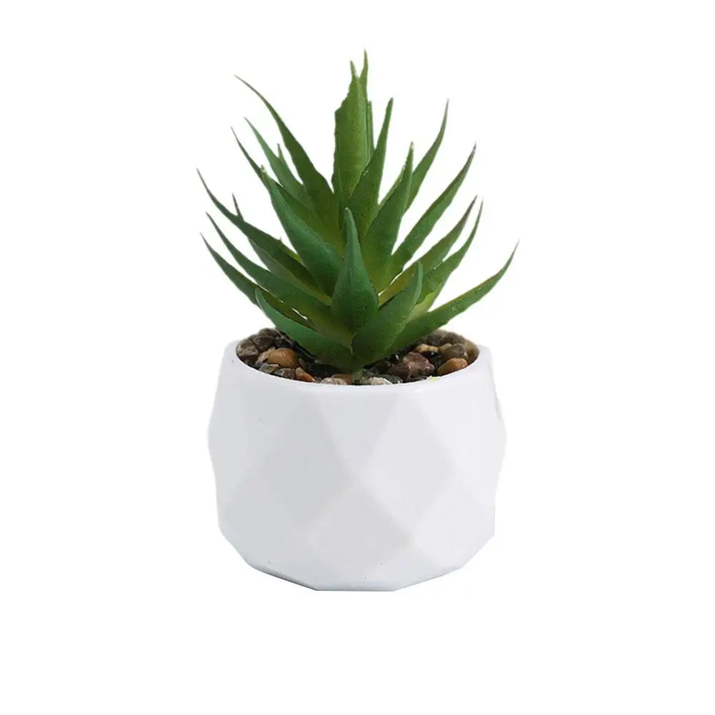 Mini Evergreen Bonsai Decor