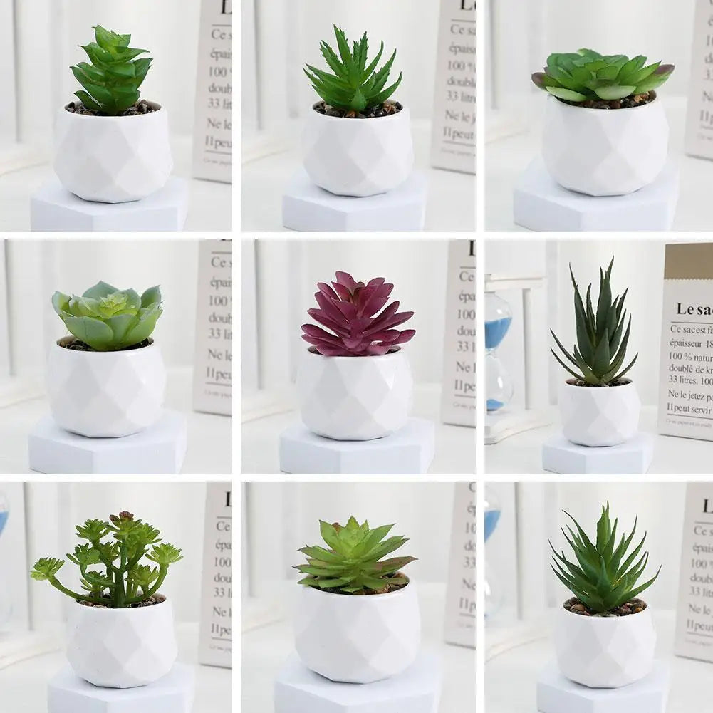 Mini Evergreen Bonsai Decor