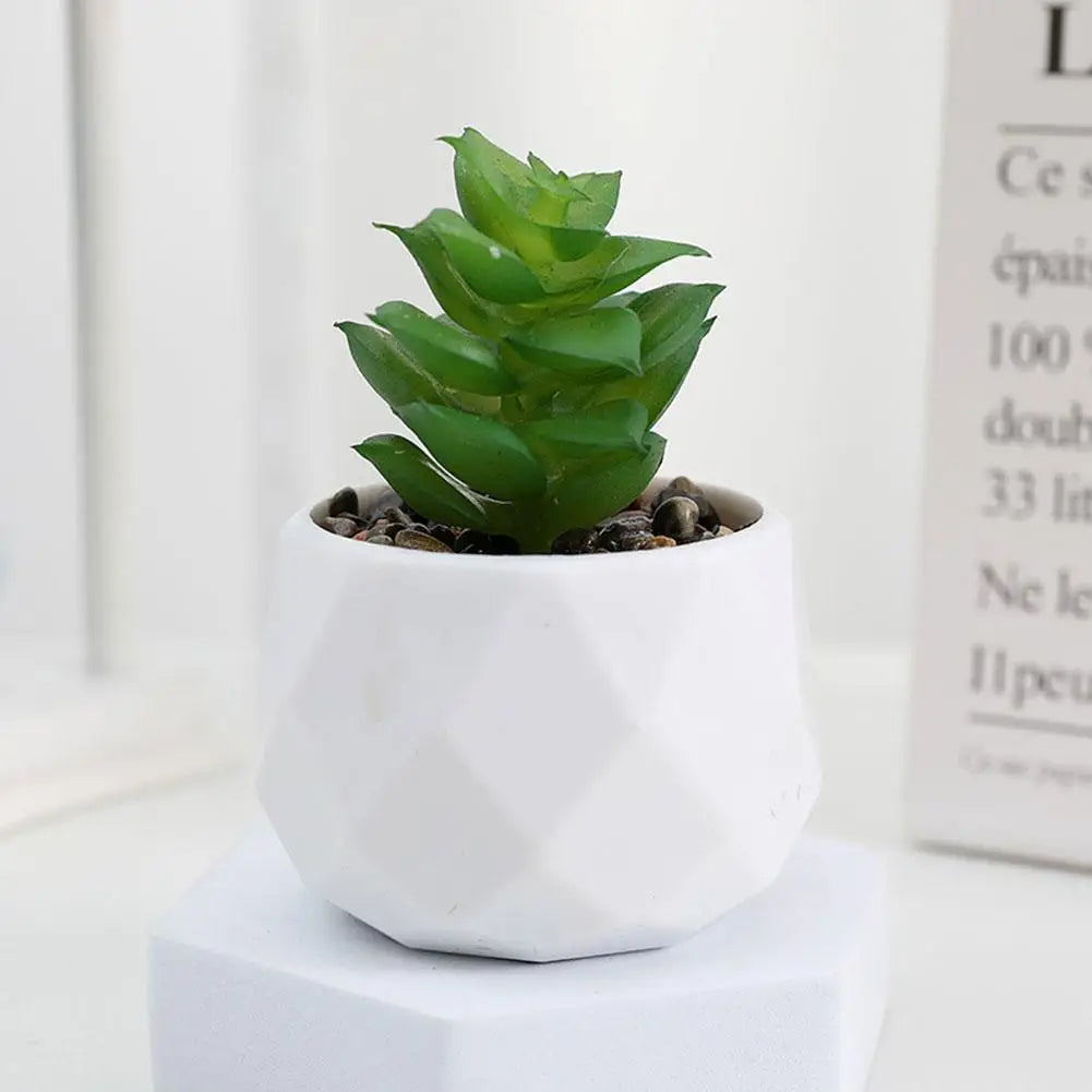 Mini Evergreen Bonsai Decor