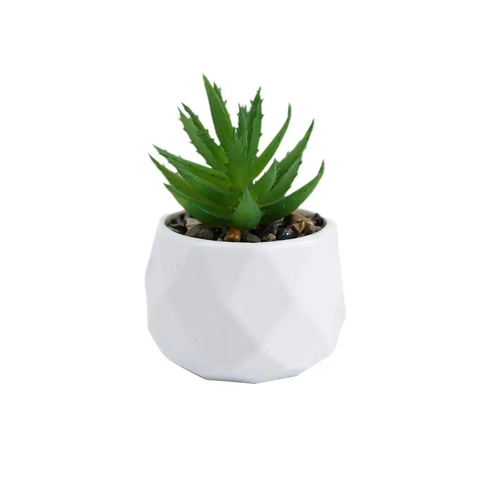 Mini Evergreen Bonsai Decor