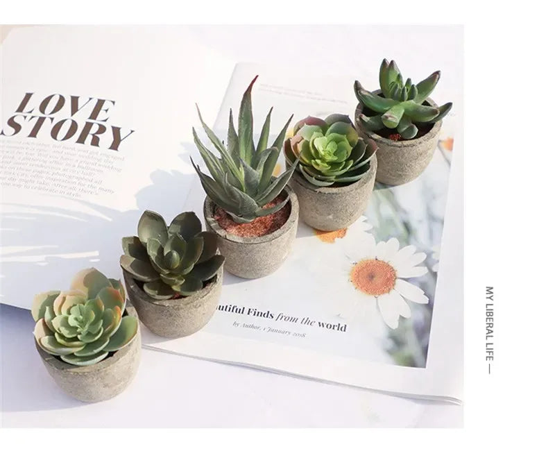 Mini Aloe Potted Plant