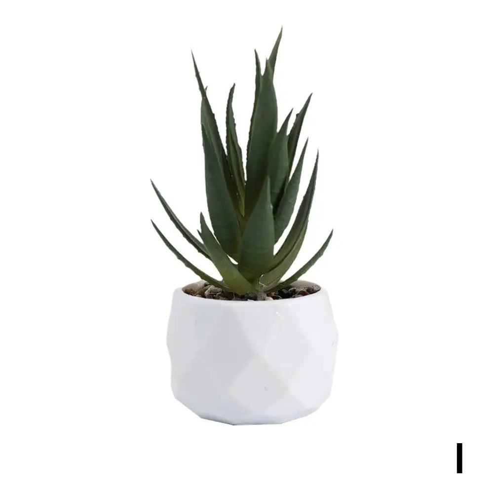 Mini Evergreen Bonsai Decor