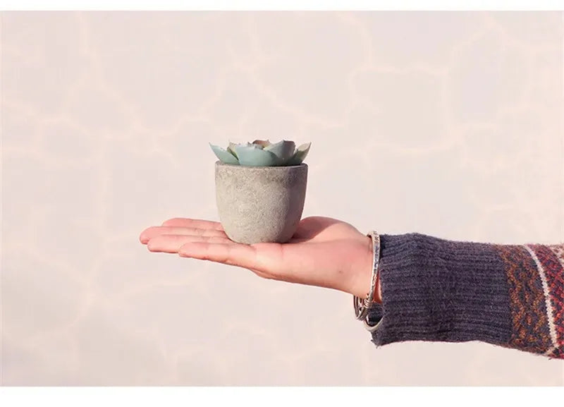 Mini Aloe Potted Plant