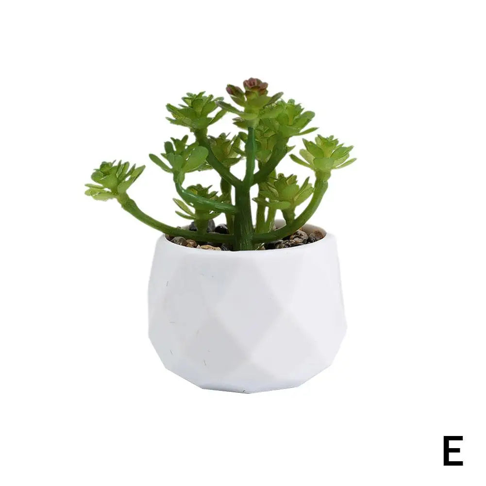 Mini Evergreen Bonsai Decor