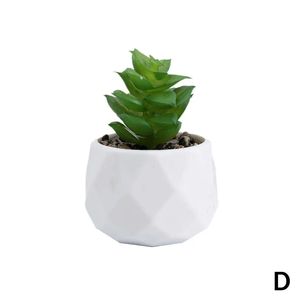 Mini Evergreen Bonsai Decor