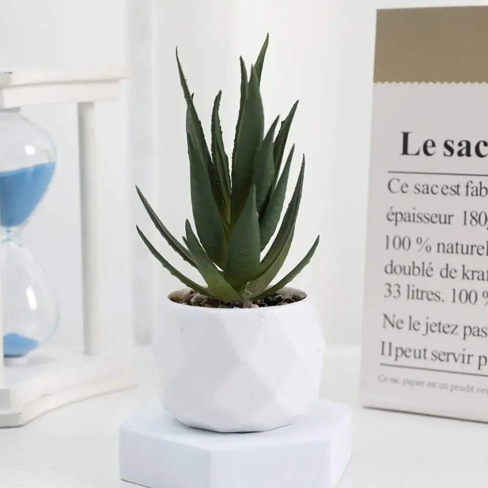 Mini Evergreen Bonsai Decor
