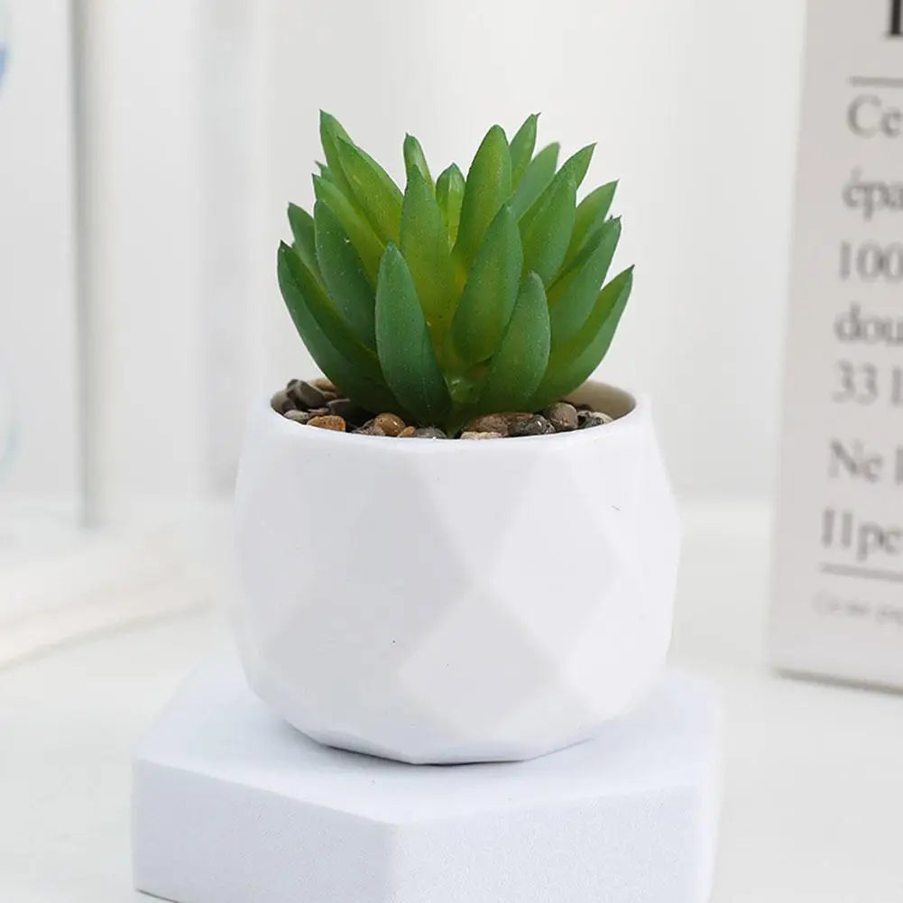 Mini Evergreen Bonsai Decor