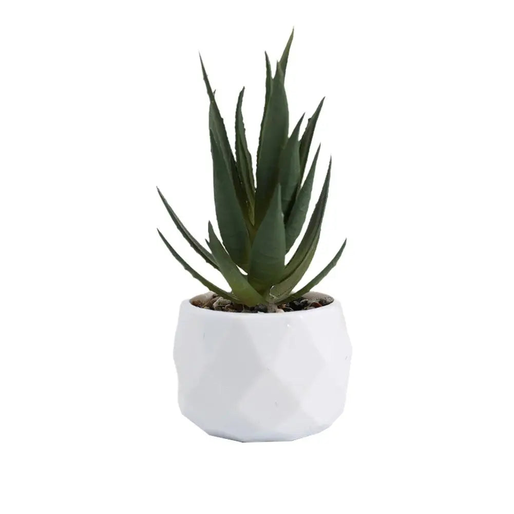 Mini Evergreen Bonsai Decor