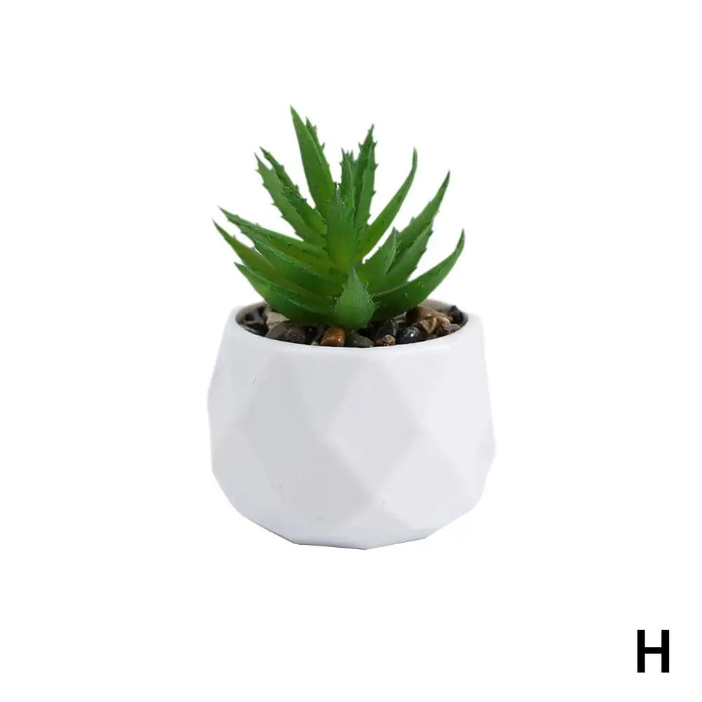 Mini Evergreen Bonsai Decor