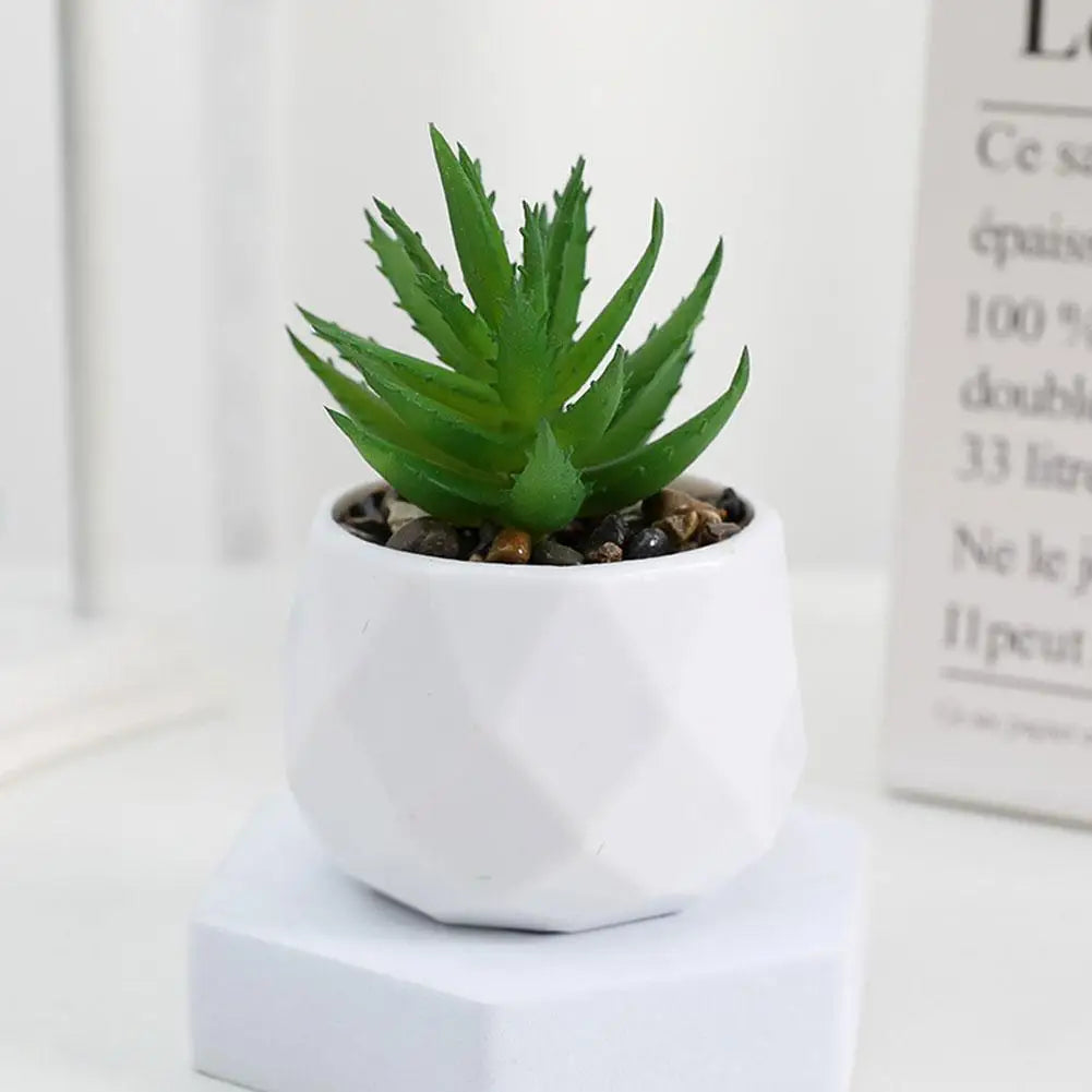 Mini Evergreen Bonsai Decor